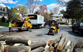 Best Landscape Design and Installation  in Butler, IN