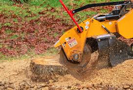 Best Lawn Maintenance Plans  in Butler, IN