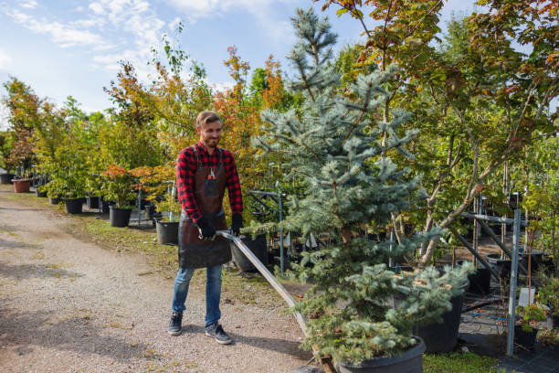 Best Tree Risk Assessment  in Butler, IN